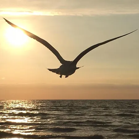 Strandduene 117 Appartamento Dierhagen